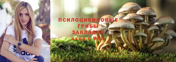 амф Абаза