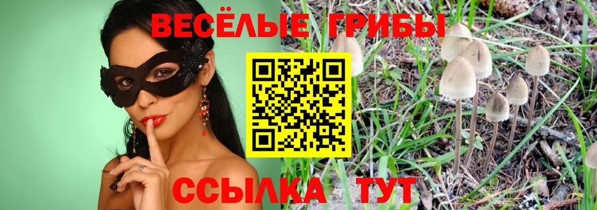 Псилоцибиновые грибы мицелий Приморско-Ахтарск